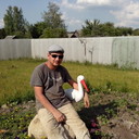 ���������� ������, ���� ������� �������, 49 ���, ������������ ��� ������, ����� � ���������, c�������� ���������, ���������