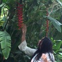 ���������� ������, ���� ������� �������, 45 ���, ������������ ��� ����� � ���������, c�������� ���������