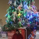 ���������� �����-���������, ���� ������� �����, 43 ����, ������������ ��� ������, ����� � ���������