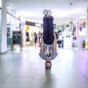 ���������� �������, ���� ������� �����, 31 ���, ������������ ��� ������, ����� � ���������, c�������� ���������