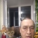   ,   , 66 ,   c 