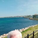  ,   , 52 ,   ,   , c , 