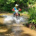 ���������� �����������, ���� ������� ���������, 32 ����, ������������ ��� ������, ����� � ���������, c�������� ���������