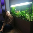 ���������� ����, ���� ������� ����, 49 ���, ������������ ��� ������, ����� � ���������, c�������� ���������, ���������