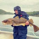  -,   , 33 ,   ,   , c , 