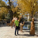  ,   , 35 ,     , c , 