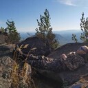 ���������� ���������, ���� ������� �������, 28 ���, ������������ ��� ������, ����� � ���������