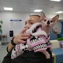 ���������� ������, ���� ������� ����, 53 ����, ������������ ��� c�������� ���������