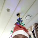 ���������� �����������, ���� ������� ALEXEY, 43 ����, ������������ ��� ������, c�������� ���������