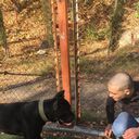 ���������� ������, ���� ������� Artur, 31 ���, ������������ ��� ������, ����� � ���������