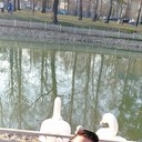  ,   , 43 ,   ,   , c 