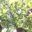  ,   , 39 ,   
