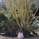 ���������� Kaiserslautern, ���� ������� Lorena, 58 ���, ������������ ��� ������, ����� � ���������, c�������� ���������, ���������