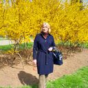 ���������� ������, ���� ������� ���������, 45 ���, ������������ ��� ����� � ���������, c�������� ���������