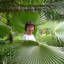  ,   , 55 ,   ,   
