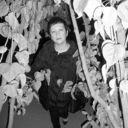 ���������� �����, ���� ������� �������, 48 ���, ������������ 