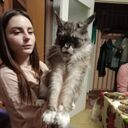 ���������� �����, ���� ������� �������, 52 ����, ������������ ��� ������, ����� � ���������