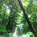 ���������� ����������, ���� ������� �������, 28 ���, ������������ ��� ����� � ���������, c�������� ���������