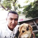 ���������� �����-���������, ���� ������� Aslan, 35 ���, ������������ ��� ������, ����� � ���������