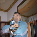 ���������� Sinsheim, ���� ������� ������, 54 ����, ������������ ��� ������, ����� � ���������, c�������� ���������