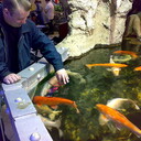 ���������� ������, ���� ������� Evgeny, 48 ���, ������������ ��� ������, ����� � ���������, c�������� ���������