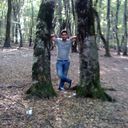  ,   0777000061, 37 ,   