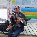 ���������� ���������, ���� ������� �������, 40 ���, ������������ ��� ������, ����� � ���������