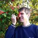 ���������� �������, ���� ������� �������, 46 ���, ������������ ��� ����� � ���������, c�������� ���������