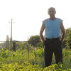  ,   , 62 ,   
