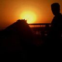 ���������� �������, ���� ������� �����, 36 ���, ������������ 