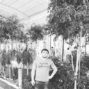 ���������� ������, ���� ������� Murat, 33 ����, ������������ ��� ������, ����� � ���������, c�������� ���������