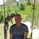  ,   , 38 ,   c 