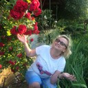  ,   , 51 ,   
