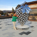 ���������� ������������, ���� ������� ����, 56 ���, ������������ ��� c�������� ���������