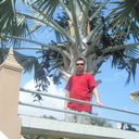 ���������� ������, ���� ������� ������, 50 ���, ������������ ��� ������, ����� � ���������, c�������� ���������