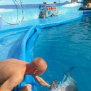 ���������� �������, ���� ������� ����, 38 ���, ������������ ��� ������, ����� � ���������, c�������� ���������