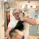 ���������� ��������, ���� ������� ������, 40 ���, ������������ ��� ������, ����� � ���������, c�������� ���������, ���������