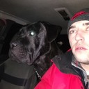 ���������� ������, ���� ������� �������, 37 ���, ������������ ��� ������, ����� � ���������, c�������� ���������