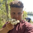 ���������� �����, ���� ������� ������, 31 ���, ������������ ��� ������, ����� � ���������, c�������� ���������, ���������