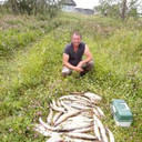 ���������� ������, ���� ������� ��������, 56 ���, ������������ ��� ����� � ���������, c�������� ���������