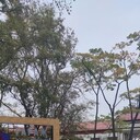 ���������� ����������, ���� ������� ��������, 32 ����, ������������ ��� ����� � ���������