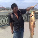 ���������� ������, ���� ������� �����, 40 ���, ������������ 