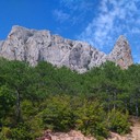 ���������� ������ �����, ���� ������� �������, 46 ���, ������������ ��� ������, ����� � ���������, c�������� ���������