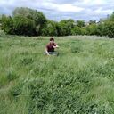 ���������� ������, ���� ������� ���������, 28 ���, ������������ ��� ������, ����� � ���������