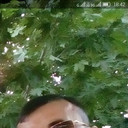 ���������� ����, ���� ������� Neman, 44 ����, ������������ ��� ������, ����� � ���������, c�������� ���������