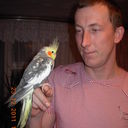  ,   , 44 ,  