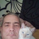  -,   , 50 ,     , c , 