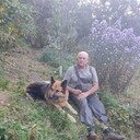  ,   , 67 ,   ,   