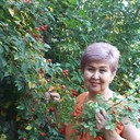  ,   , 63 ,   ,   , c 
