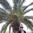 ���������� ���������, ���� ������� ��������, 60 ���, ������������ ��� ������, ����� � ���������, c�������� ���������